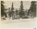 Image of Winter scene at camp